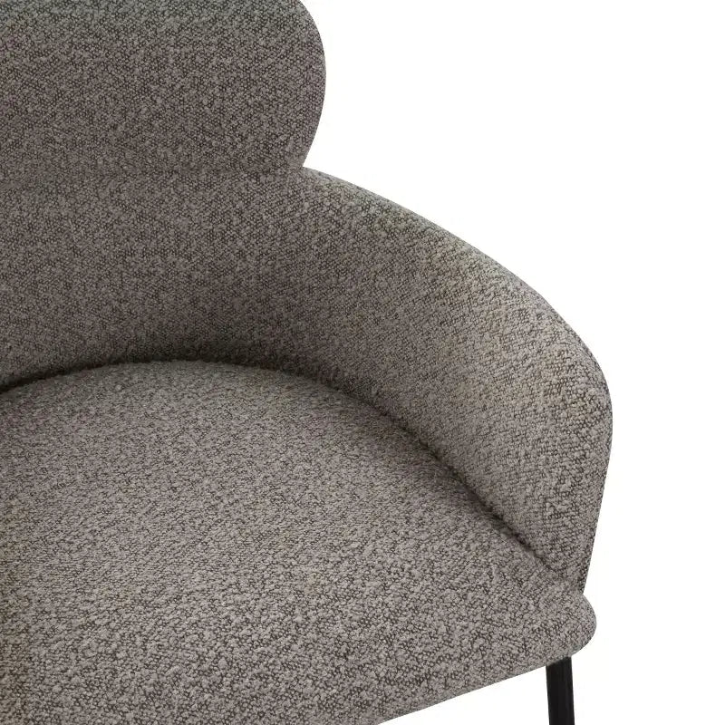 Charlize Velvet Dining Chair - SFV4757 - Safavieh Couture
